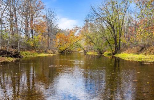 Berkeley Springs Ski Chalet | Sleepy Creek - Hot Tub, Pet Friendly, Creekside, Grill, Wifi, Fire Pit, Deck, Screen Porch, Family Friendly, Fishing, View, Games