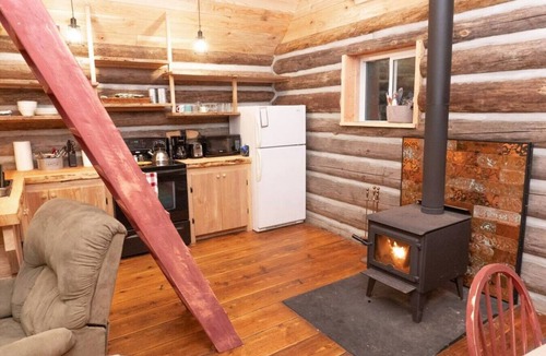 Regional District of Nanaimo Cabin | Slow-Go Log Cabin in the Woods with SAUNA & Cozy Woodstove