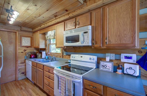 Zionville Cabin | Smokey Mountain Hideaway w/Hot Tub Pet Friendly