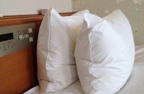 Iwai Onsen Hotel | Smoking Main building economy single room onl/Tottori Tottori