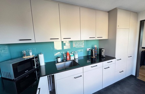 Spiez Apartment | Sneeze view