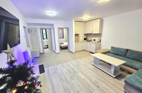 Busteni Apartment | Snow Apartament