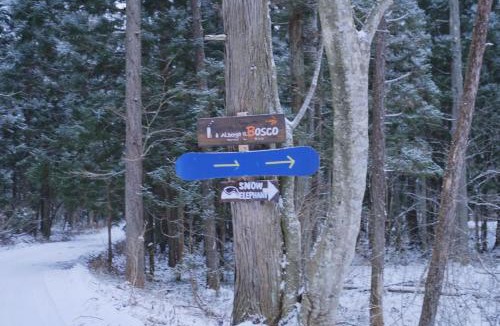 Iida Bed & Breakfast | Snow Elephant