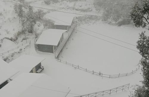 Dhanaulti House | Snow Valley