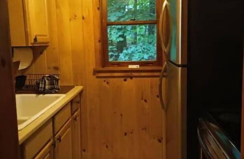 Lake George Cabin | Snowshoe Hare Cabin at the Adirondack Lodge - 5 mins to Lake George Village