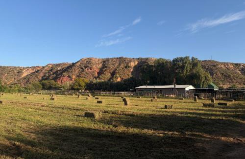 Calitzdorp Bed & Breakfast | Soeterus Guest Farm