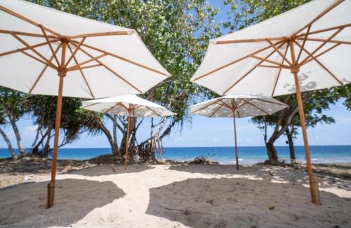 Rumah Santek Resort | Sofanda Resort & Dive