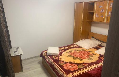 Drobeta-Turnu Severin Apartment | Sofia Apartament