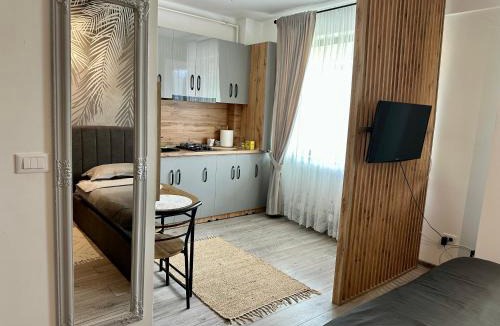 Tirgu Neamt Apartment | Sofia Residence Studio Cetate