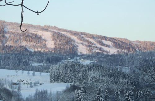 Svarstad House | Sogn Gjestegard