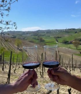 Montegrosso dʼAsti Apartment | Sogno La Vigna - Adults Only