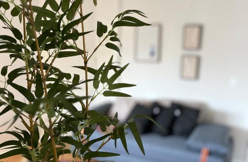 Bigorrilho Apartment | SoHO Batel