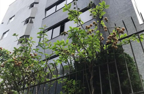 Bigorrilho Apartment | SoHO Batel