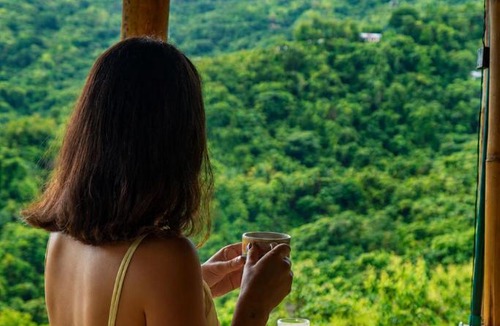 Minca Hotel | Sol de Minca Eco Lodge
