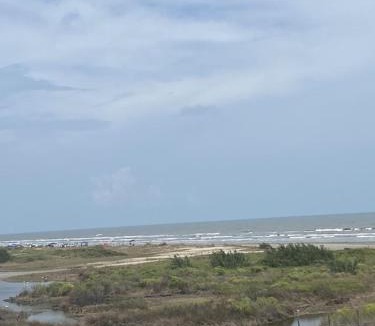 Galveston House | SOLAJE