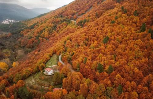 Manteigas House | Solar da Castanha - Forest House