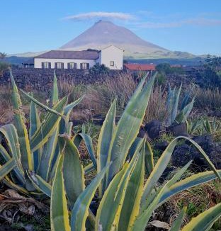 Madalena Cabin | Solar dos limas