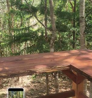 Traveston House | Solara - A Private Dome Nestled in the Trees l Noosa Hinterland