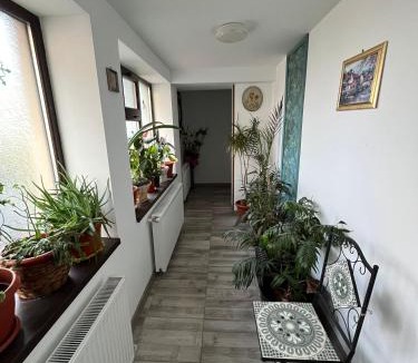 Galati Apartment | Solaria Budget Studio