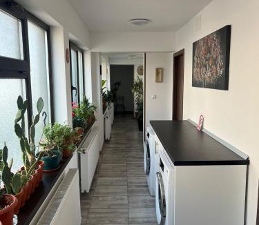 Galati Apartment | Solaria Budget Studio