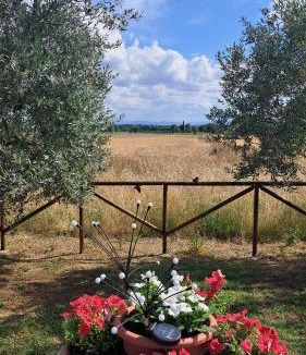 Rigutino House | sole di campagna