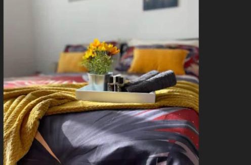 Basiglio Apartment | Sole e relax near Humanitas