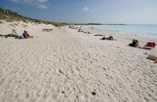 Vada Apartment | Sole.Mare.e.Spiaggie Bianche!