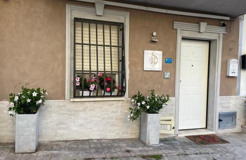 Palmi House | Solidea House