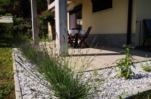 Seca Apartment | Solmar, Apartment with big terrace near nature