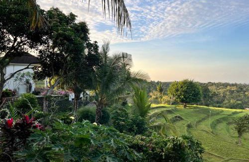 Negara Resort | Soma Bloom Resort