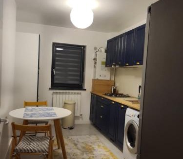 Valea Lupului Apartment | Somad Apartment