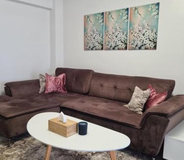 Valea Lupului Apartment | Somad Apartment