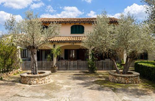 Alaro House | Son Fransi Alaro