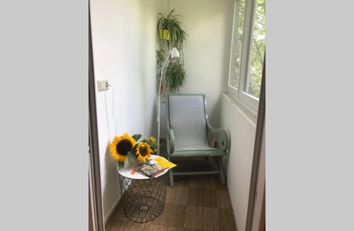 Ostheim Apartment | Sonnige 2-Zimmerwohnung mit Veranda