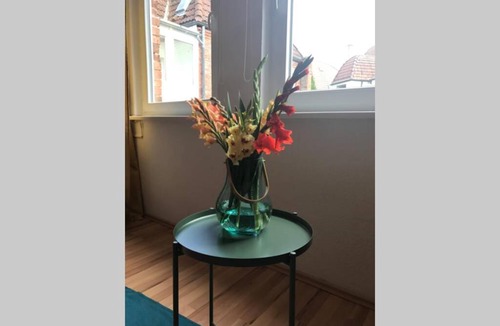 Ostheim Apartment | Sonnige 2-Zimmerwohnung mit Veranda