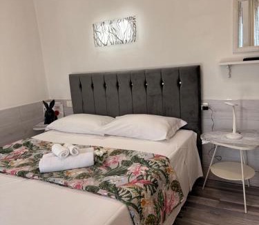 Navile House | Sophia
