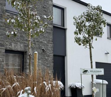 Redu House | sous les feuilles Redu