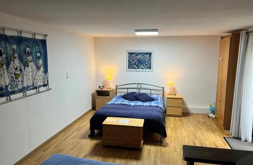 Schwaebisch Hall Apartment | Souterain Appartement 19 min zu Fuß Downtown