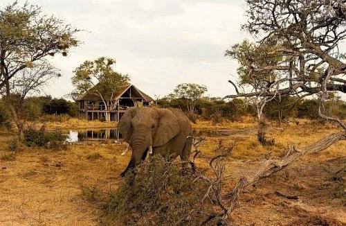 North-West District House | South Okavango - Omogolo Hideaways