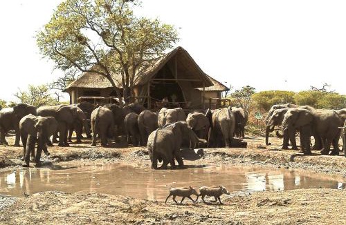North-West District House | South Okavango - Omogolo Hideaways