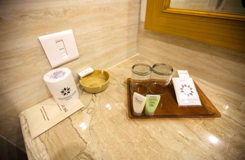 Mysore Hotel | Southernstar Mysore