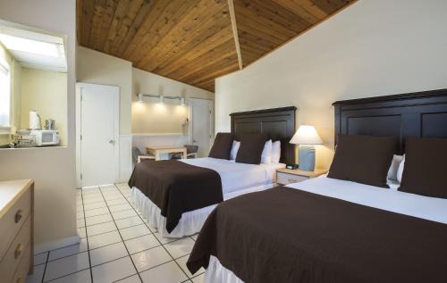 Uptown - Upper Duval Hotel | Southwinds Motel