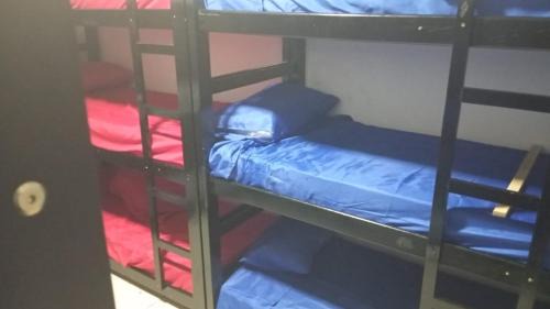 Saude Hostel | SP Hostel