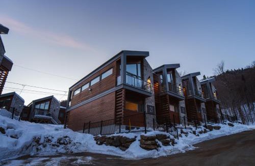 Stoneham Ski Chalet | Spa privé et billard pret de la montagne de ski Stoneham 12 personnes
