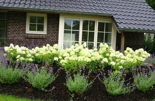 Hellendoorn Villa | Spa Villa by Salland Forest
