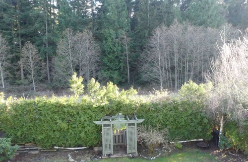 Regional District of Nanaimo House | Space for everyone. Overlooking peaceful green space. pet-friendly