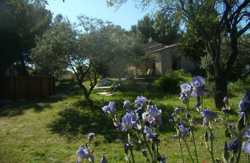 Saint-Pierre-de-Vassols Villa | Space & light on ground 1200 m2 planted with Provence olive trees 4 km from Mt Ventoux