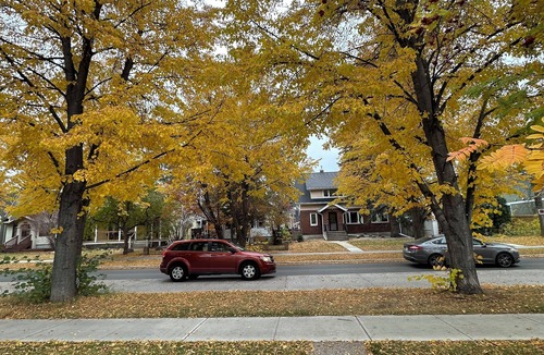 Edmonton Apartment | Spacious 1BR Suite Near University of Alberta, Hospital, Whyte Ave, River Valley