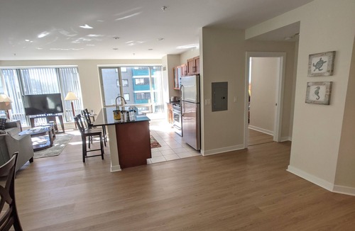 West End Apartment | Spacious 2 Bed/Bath Apt Nearby MGH,MIT,Harvard, Washer/Dryer in suite, Modern Bd