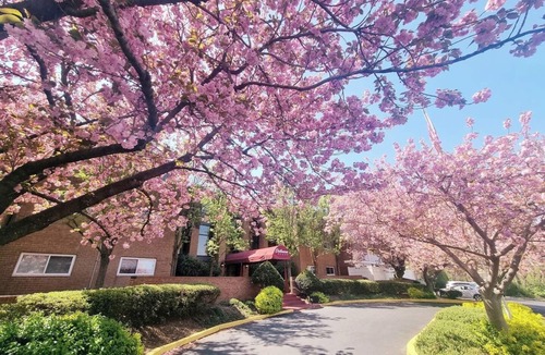 Elkins Park Apartment | Spacious 2BR/2BA Apartment | Monthly Stay Deals